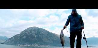 SHOREJIG ile TORİK AVI