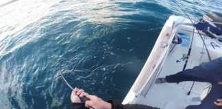 OFFSHORE CASTING İLE YAKALANAN TROFE