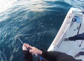 OFFSHORE CASTING İLE YAKALANAN TROFE