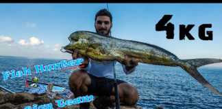 SHORE JIG YÖNTEMİYLE YAKALANAN LAMBUKA