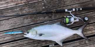 SU ÜSTÜ RAPALA İLE AKYA AVI