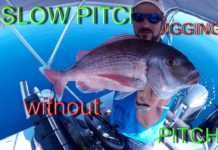 SLOW JIG (BALIK VURUŞ ANI)