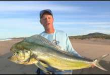 HAVADA UÇAN LAMBUKALAR