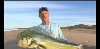 HAVADA UÇAN LAMBUKALAR