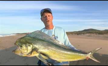 HAVADA UÇAN LAMBUKALAR