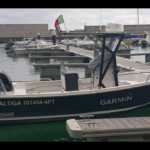 SLOW JİG YÖNTEMİYLE DOMUZ BALIĞI AVI