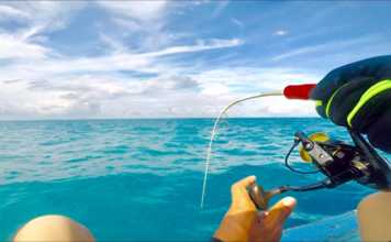 KEYİFLİ BİR JİG AVI