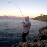 SHOREJIG YÖNTEMİYLE KUZU PALAZI