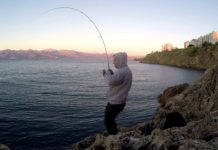 SHOREJIG YÖNTEMİYLE KUZU PALAZI