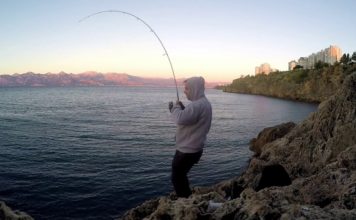 SHOREJIG YÖNTEMİYLE KUZU PALAZI