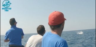 OFFSHORE CASTING YÖNTEMİYLE YAKALA BIRAK ORKİNOS AVI