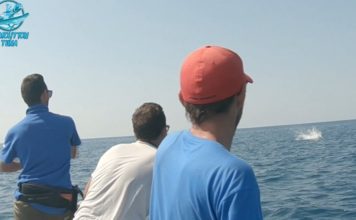 OFFSHORE CASTING YÖNTEMİYLE YAKALA BIRAK ORKİNOS AVI